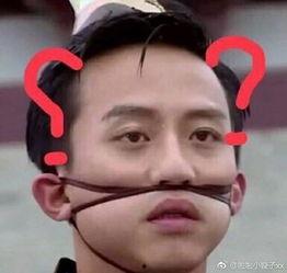 娱乐吃瓜君孙俪,娱乐圈的吃瓜高手，揭秘明星幕后故事