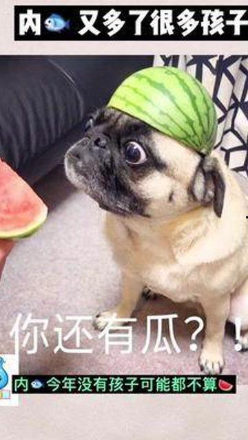 娱乐圈子里的吃瓜群众,揭秘明星幕后故事